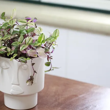 Dom wakacyjny Casa Do Shon Óbidos