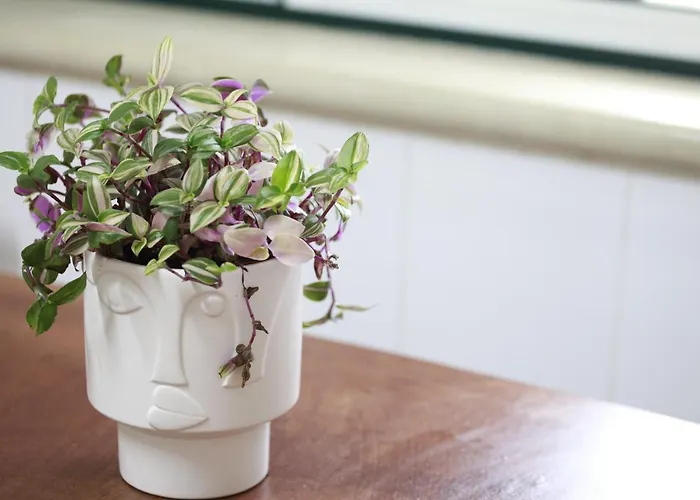 Vakantiehuis Casa Do Shon Óbidos